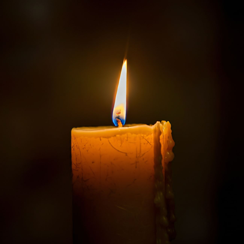 Aceites de masaje erótico: cómo crear un ritual sensorial en casa